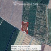Đất 2.2 sào Mít SHR HXT – DT792 Tây Ninh S